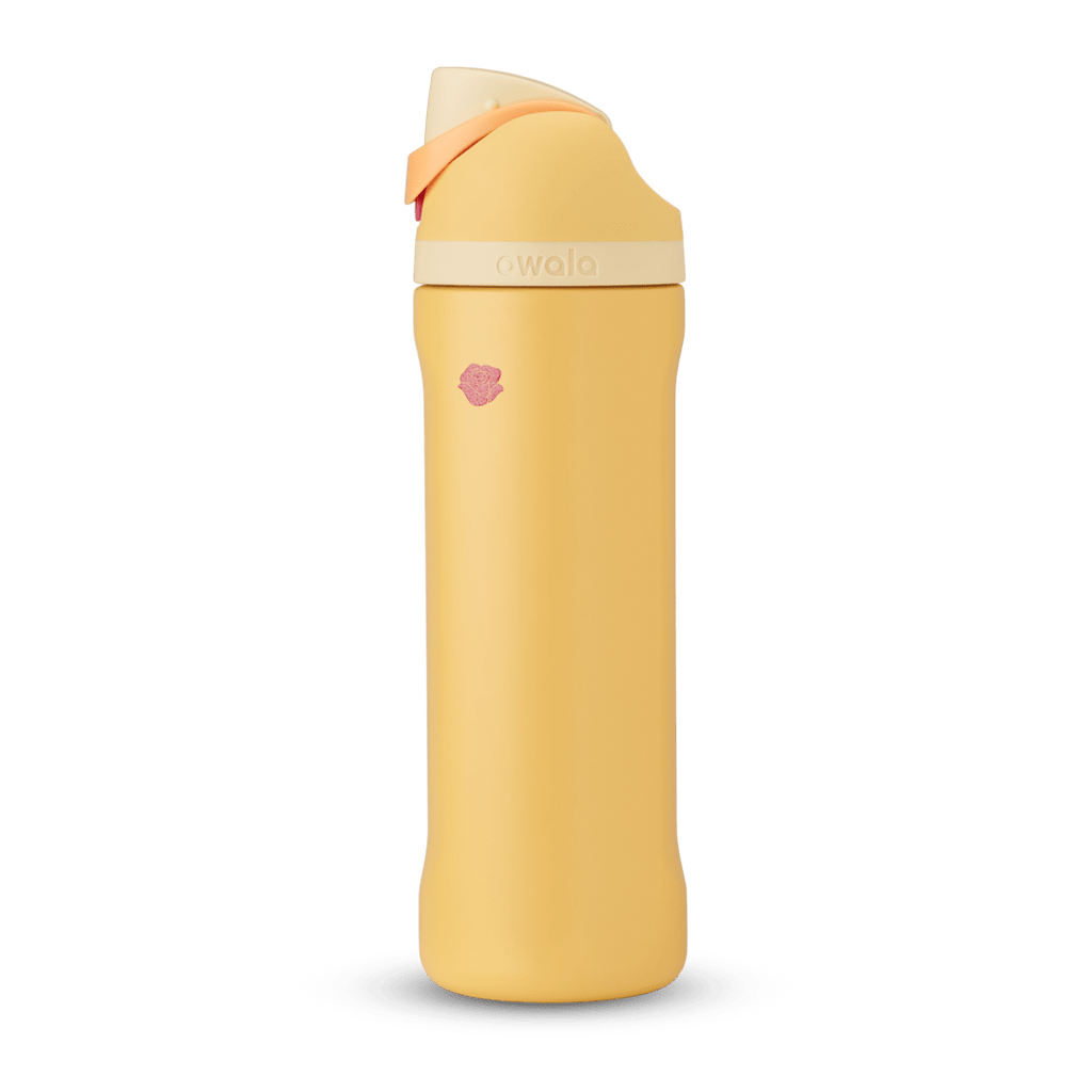 Disney Princess Collection Water Bottle QHON85IP