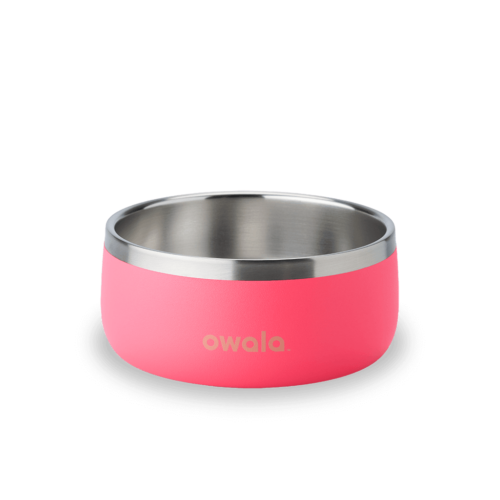 Pet Bowl Water Bottle 8ZRYF