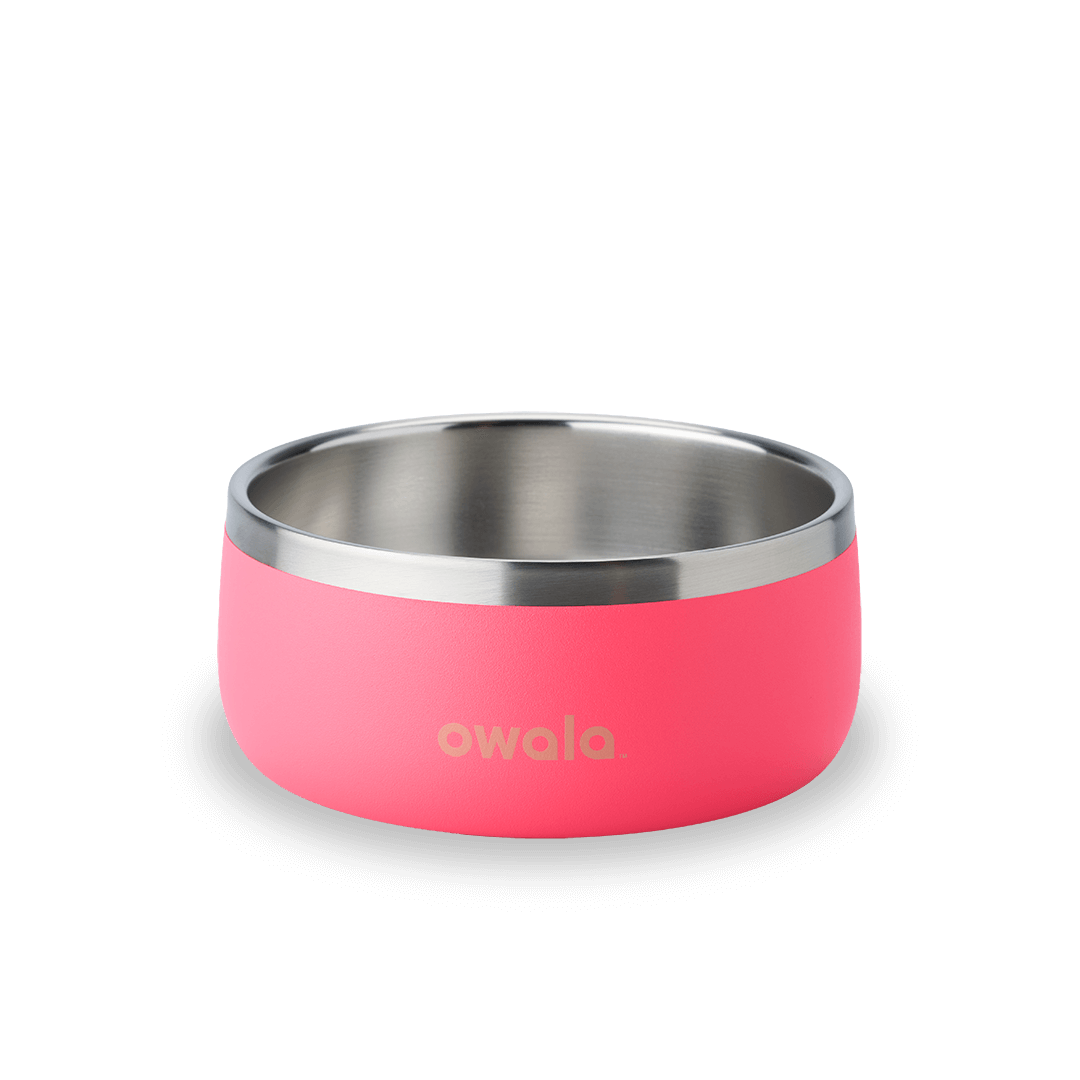 Pet Bowl Water Bottle 8ZRYF