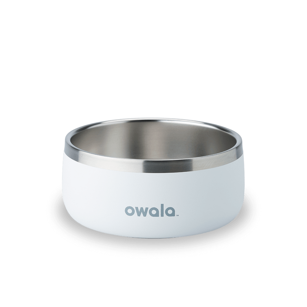 Pet Bowl Water Bottle 8ZRYF
