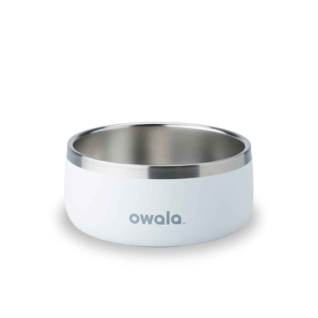 Pet Bowl Water Bottle 8ZRYF