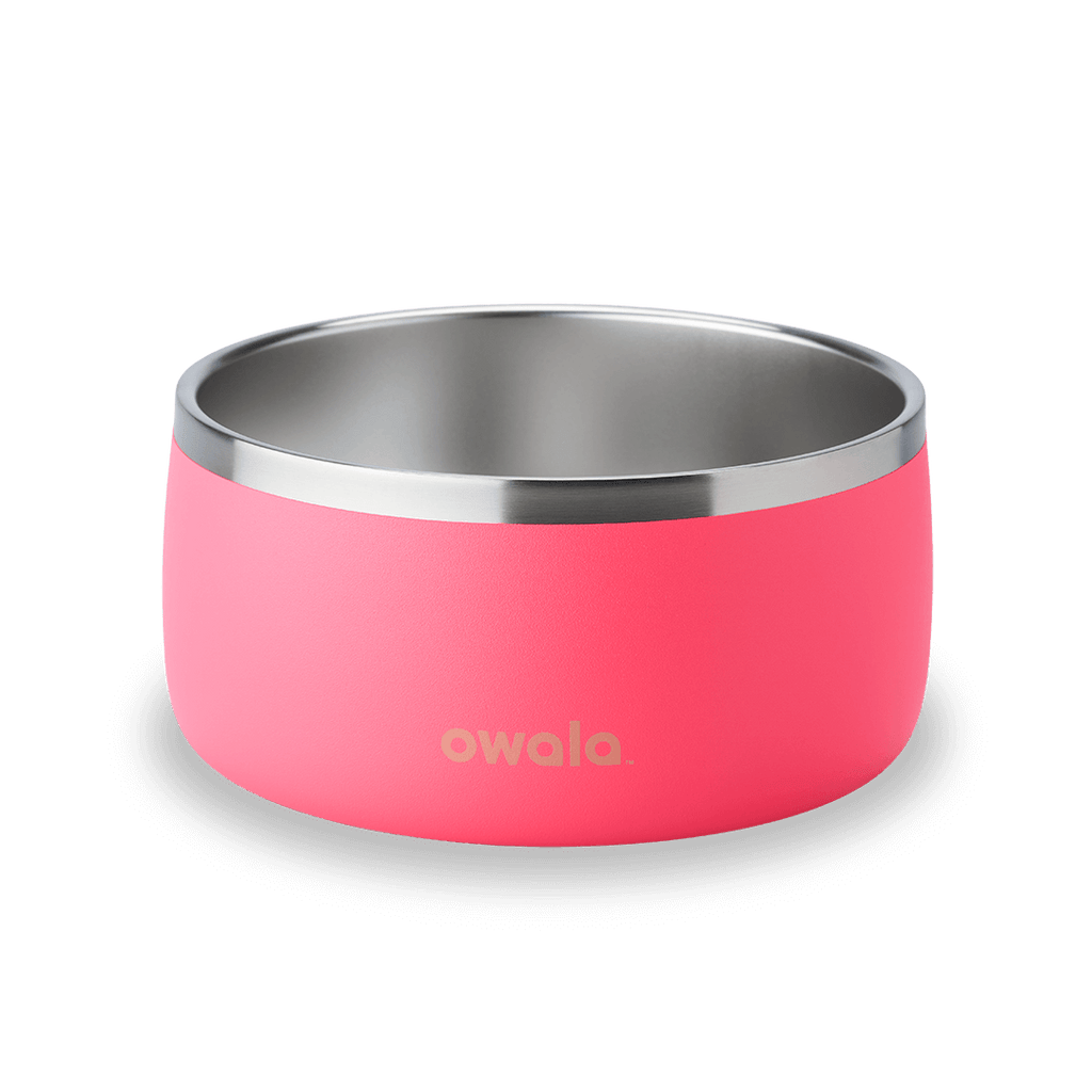 Pet Bowl Water Bottle 8ZRYF