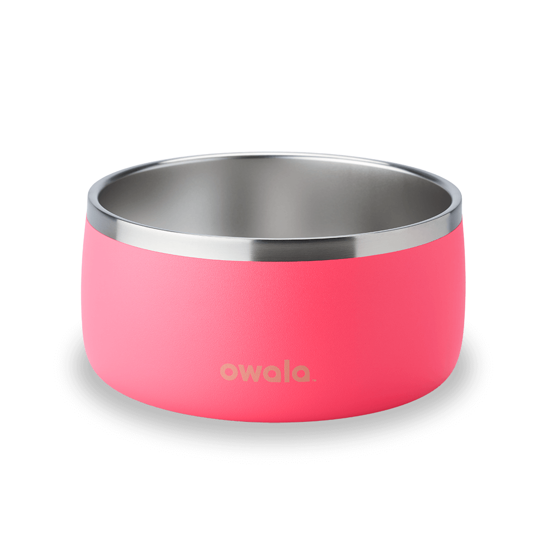Pet Bowl Water Bottle 8ZRYF