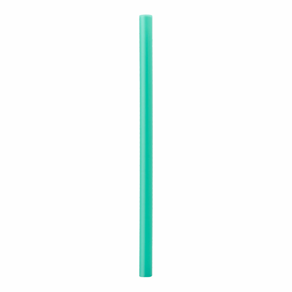 Replacement Straws Water Bottle 1F3GAB