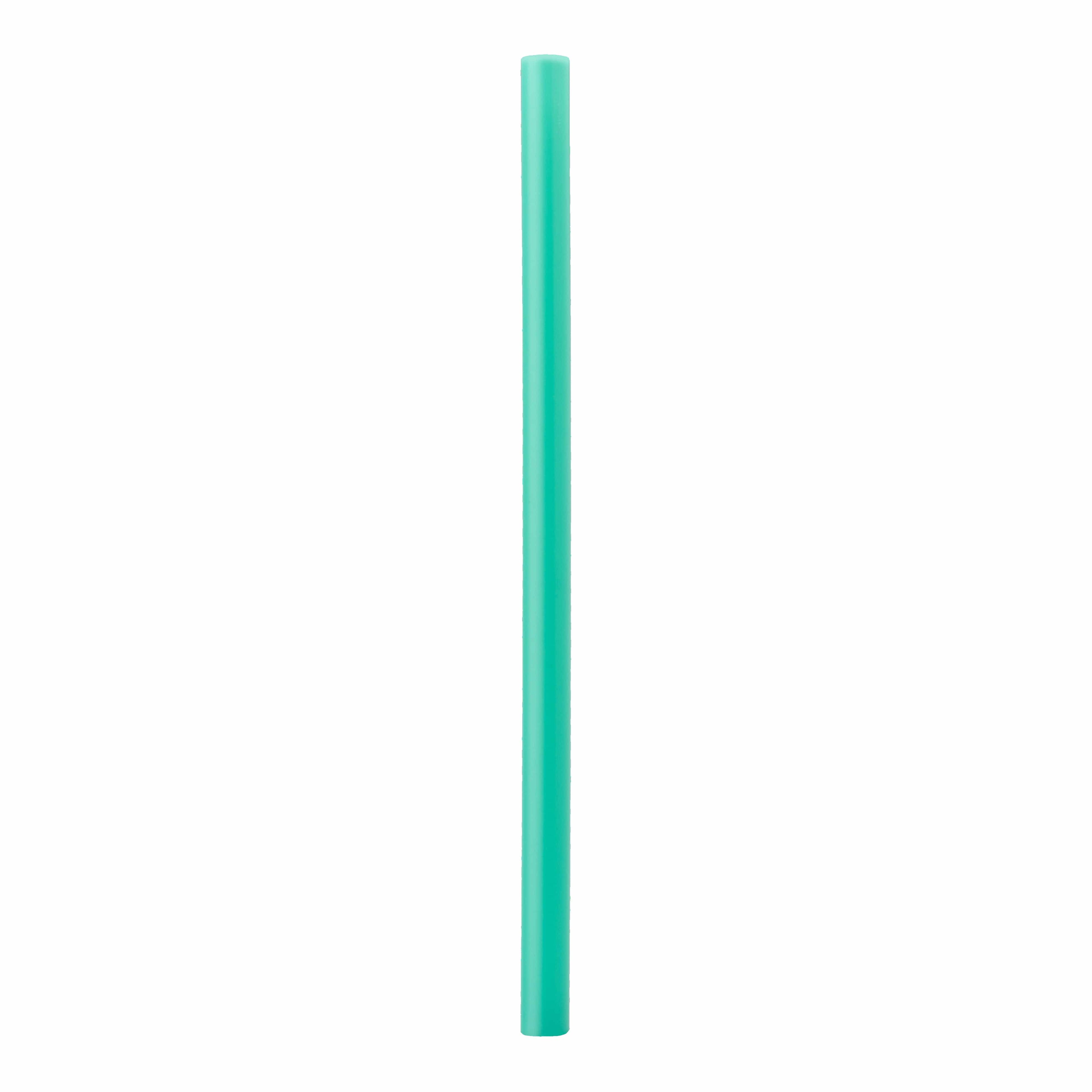 Replacement Straws Water Bottle 1F3GAB